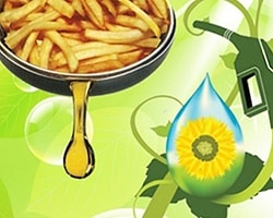 1 Litre Atık Yağ 1 Milyon Litre İçme Suyunu Kirletiyor