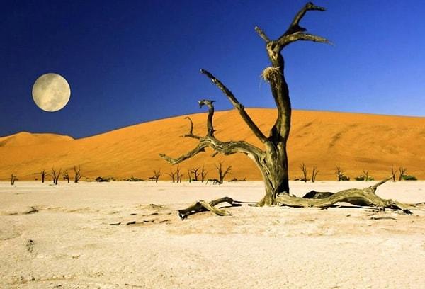 7. Ölü Vlei, Nambia