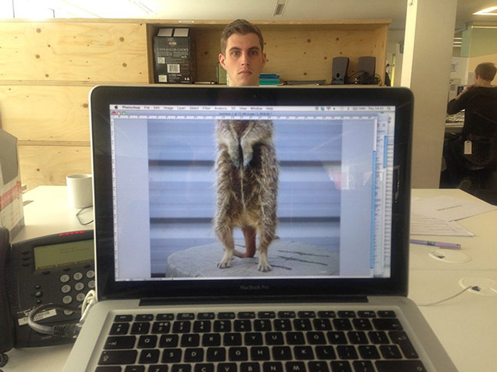 Çalışmaktan Bunalıp Hayvan Fotoğraflarıyla Kendisine Eğlence Çıkaran 25 Ofis Çalışanı