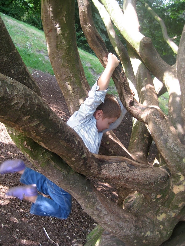 5. Ağaçtan düşmek