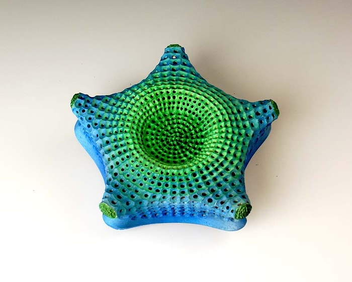 Renkleri, Şekilleri ve Özellikleriyle Sizi Büyüleyecek 23 Diatom