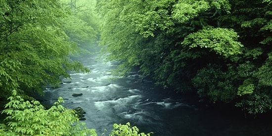 Akarsular 29 Yıllığına Özel Şirketlere Kiralanacak