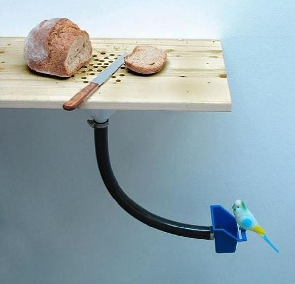 12. Kuşunuzu beslemek için tasarlanmış bi ekmek kesme tahtası