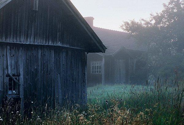 3. Terk edilmiş çiftlik evi, Finlandiya