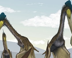 Dişsiz Dev Dinozor Göklerin Hakimiydi