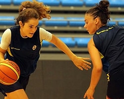 Dişi Kanaryalar Hazırlıklara Başladı