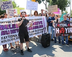 'Yılda 400 At Ölüyor Faytona Binme!' Kampanyası