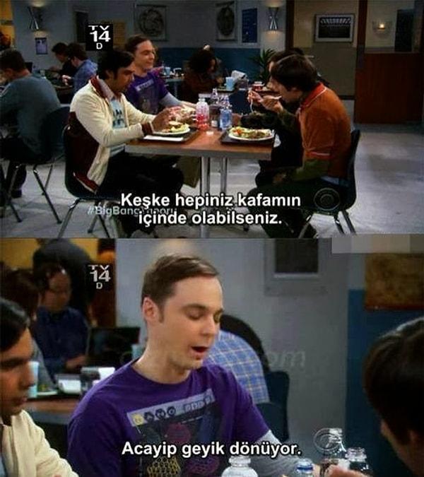 13. Sheldon?