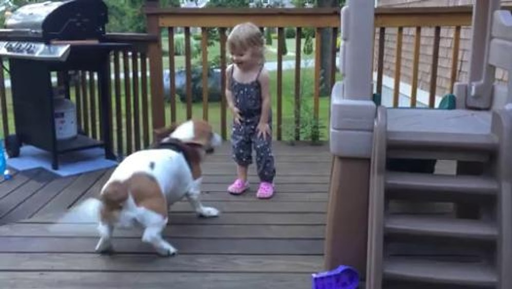 İkisini de Isırmak İsteyeceksiniz | Küçük Çocukla Köpeğin Sevimli Oyunu