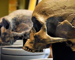 Anadolu İnsanının DNA'sı Çıkarılacak