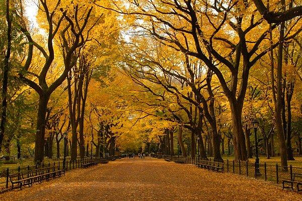 6. Central Park, New York