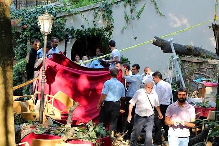 Beykoz'da Devrilen Ağaçtan Altı Kurum Sorumlu