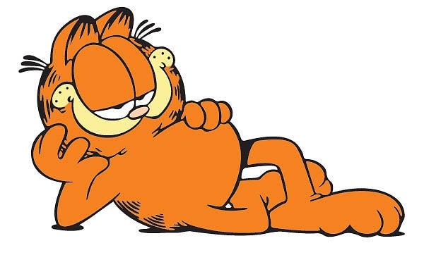 25. Garfield - Garfield