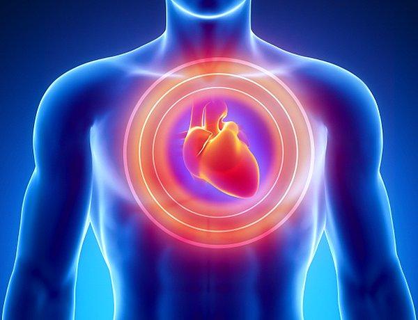 27. Kalp, 9 metreye kadar kan fışkırtma gücüne sahiptir.