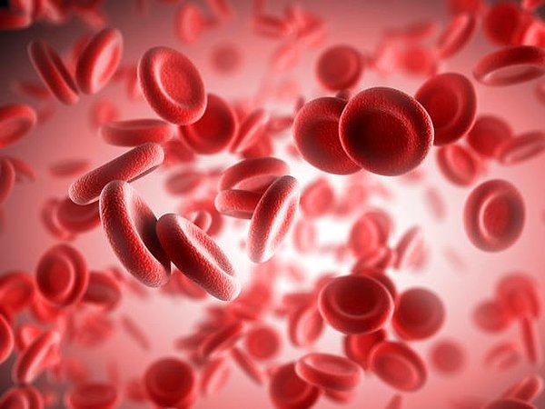 46. Yine damarlarımızdaki asil kan, bir dakika içerisinde vücudumuzda 1 tam tur yapabilir.