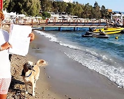 Bodrum'da 5 Yıldızlı Otel Önünde Denize Giren Kadına Dayak