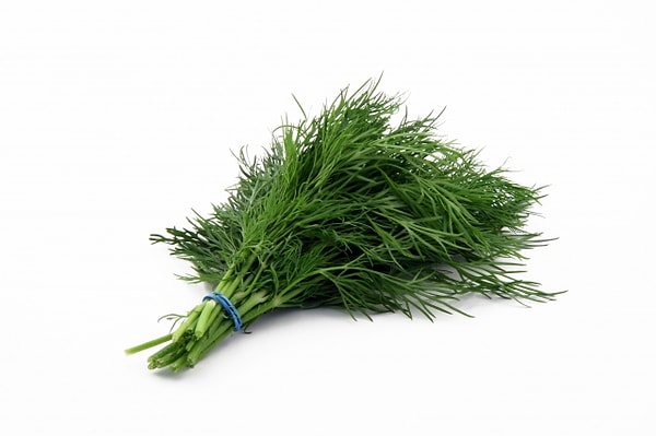 4. Dill