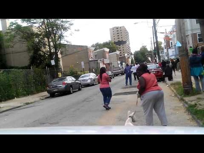 Köpeği Yüzünden Bütün Mevzuyu Kaçıran Bahtsız Kadın