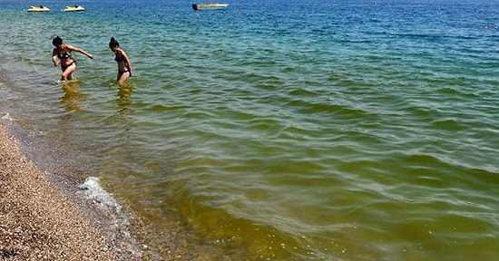Antalya'da Deniz Yeşile Döndü Balıklar Öldü