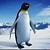 mavipenguen