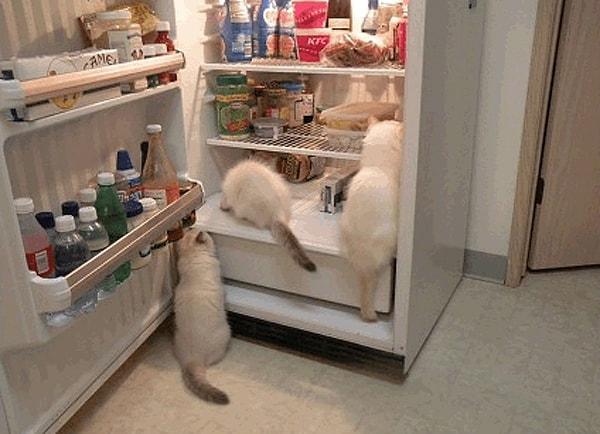 4. Buzdolabında olacaktı bir tane...
