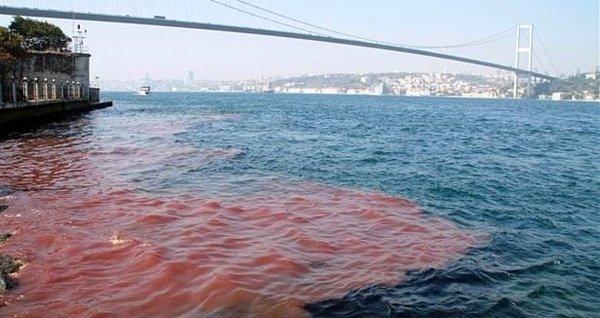 16. Bayram gününde Boğaz'ın sularının kırmızıya dönüştüğünü gösteren haberleri göreceğiz.