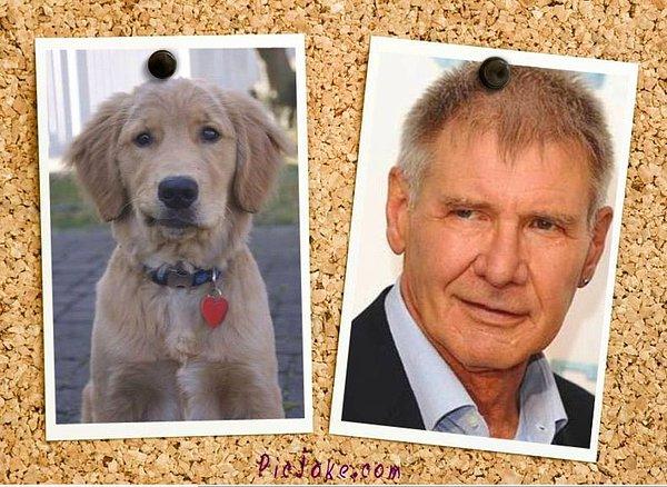 3. Chewbacca olur da Han Solo olmaz mı.