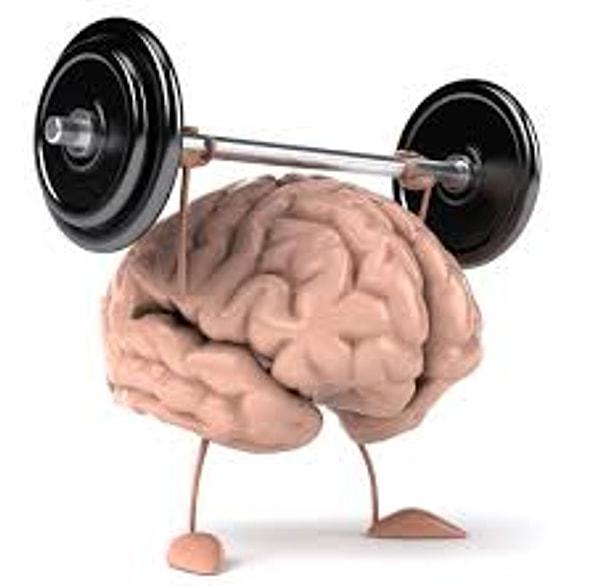 5. "Beynim yoruldu" sözü anlamsızdır. Zira beyinde kas yapısı olmadığından, doğumdan ölüme kadar kesintisiz çalışan tek organdır.