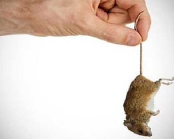 Patronun İsteyeceği En Kötü Şey Ne Olabilir?