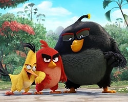 Angry Birds'den İlk Kare!