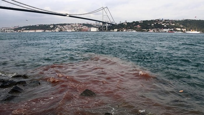 İstanbul Boğaz'ının Kana Bulanması