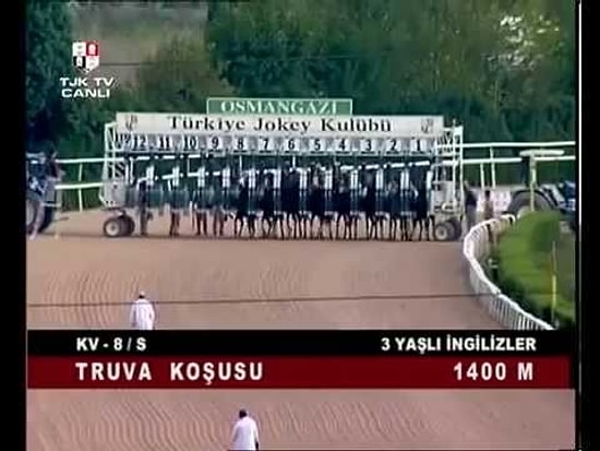 The Special Horse'un Öldüğü Yarış