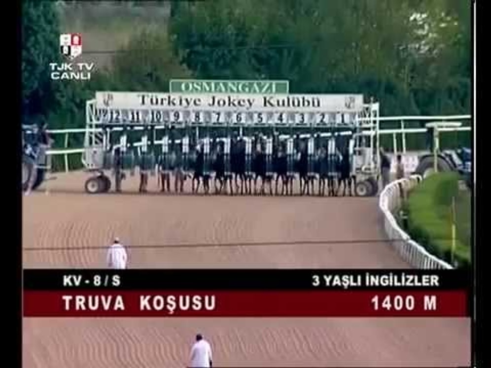 The Special Horse'un Öldüğü Yarış
