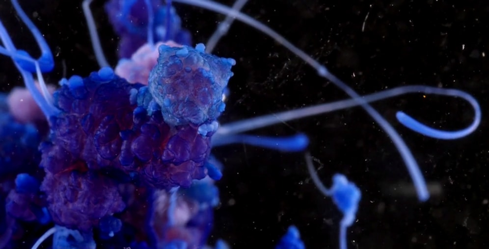 Kimyanın Güzelliğine Tanık Olun: Ultra HD Görüntülerle Kimyasal Reaksiyonlar