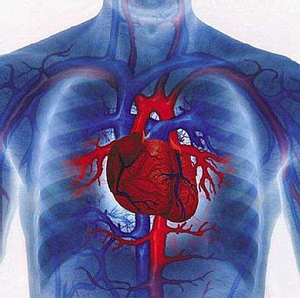 4. 84 yaş ve üstü için kalp hastalıkları kanserden daha tehlikeli