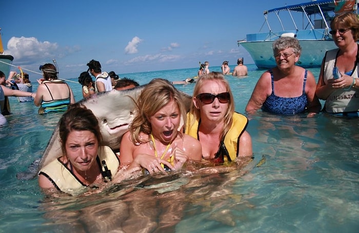 İnsanların Denizler Aleminden Kankası 21 Sempatik Vatoz Balığı