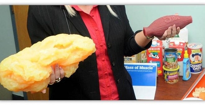 Aynı ağırlıkta yağ ve kas dokusu arasındaki büyük yüzey alanı farkı.