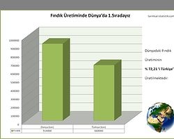 Fındık Üreterek Dünyaları Besliyoruz % 72,21