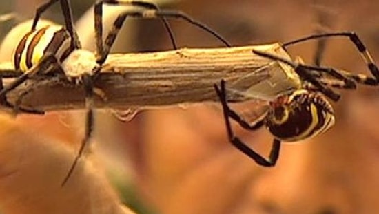 Öğrendiğinizde Çok Şaşıracağınız 22 İlginç Bilgi