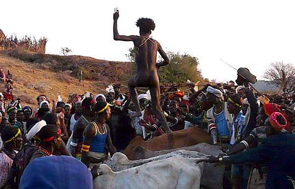 4. Etiyopya'da bulunan Hamar kabilesinde, eğer bir kişi evlenmek istiyorsa, ineklerin üzerinde atlanılan ilginç bir törene katılmak zorunda.