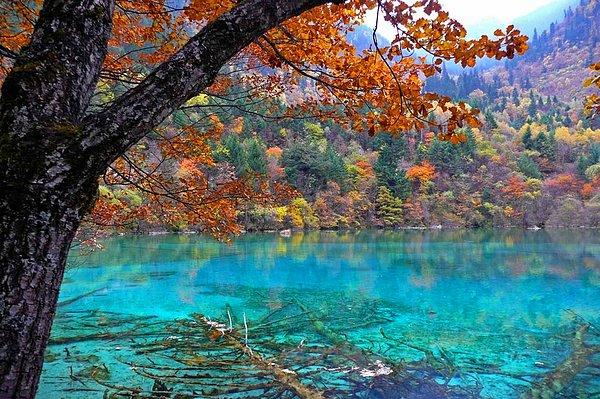 17. Beş Çiçek Gölü, Çin