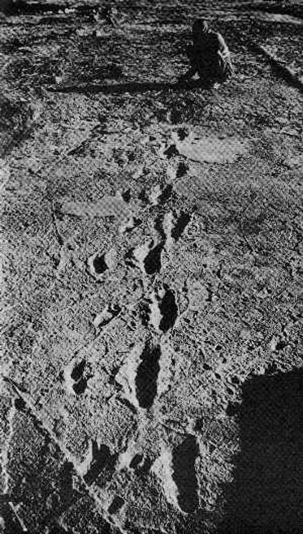 13. En eski insan ayak izi olan 3.6 milyon yıllık Laetoli ayak izlerini, paleoantropolojist Andrew Hill ve meslektaşı ayaklarına bulaşan fil kakasından kurtulmaya çalışırken buluyorlar.