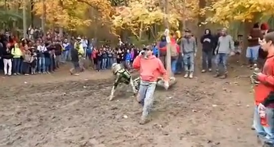 Kralı Gelse "Kimse Bu Telefon Konuşmasını Kesemez" Diyen Adam