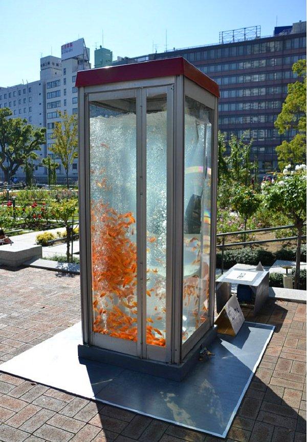20. Akvaryum şeklindeki telefon kulübesi (Japonya)