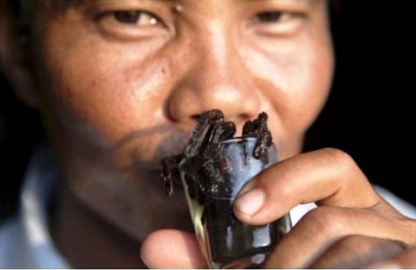 13. Kamboçya'nın Tarantula Brendi isimli en ünlü içkisi, adından da anlaşılabileceği gibi Brendi ve henüz yeni öldürülmüş birkaç tarantula ile hazırlanıyor.