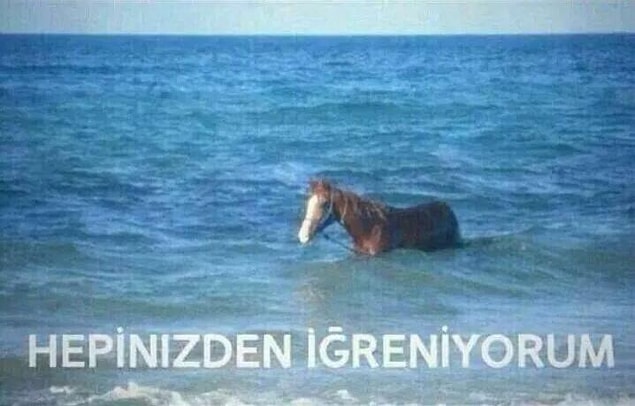 12. "Gerçekten rezilsiniz"