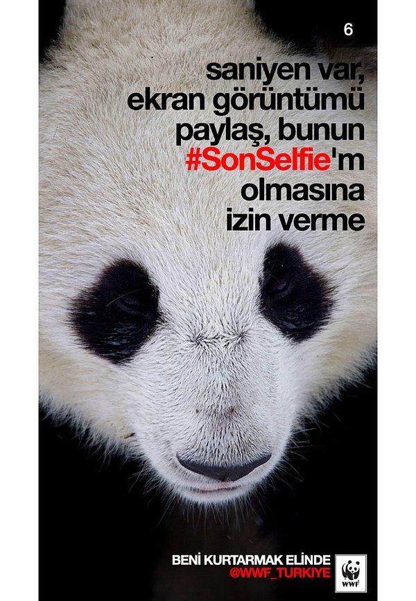 8. WWF Türkiye Snapchat Kampanyası: #SonSelfie