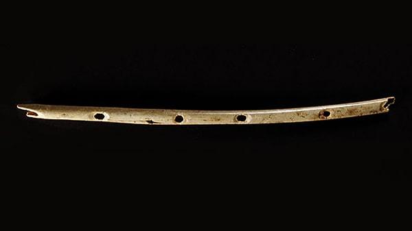 6. En eski enstrüman (40.000 yıl)