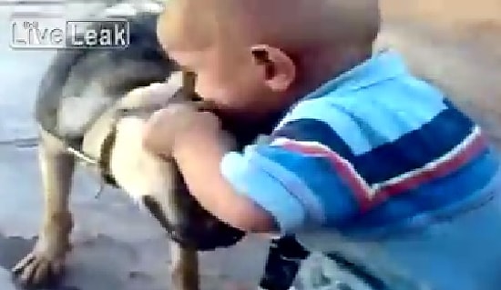 Kendisini Isıran Köpeğin Kulağını Koparan Bebek