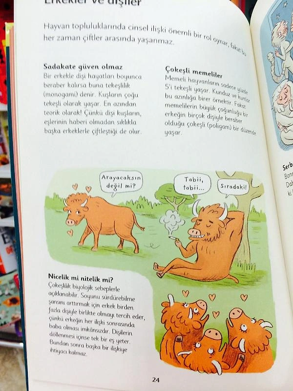 Ãok eÅliliÄi anlatmak için ilginç bir karikatür seçimi